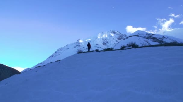 Vista Aérea Reveladora Excursionista Cima Montaña Disfrutar Vistas Que Llegan — Vídeos de Stock
