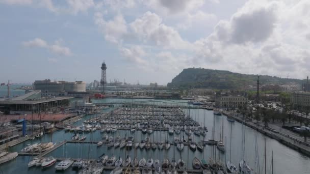 Előre Repül Sorok Felett Jachtok Vitorlások Horgonyzott Mólók Városi Kikötőben — Stock videók
