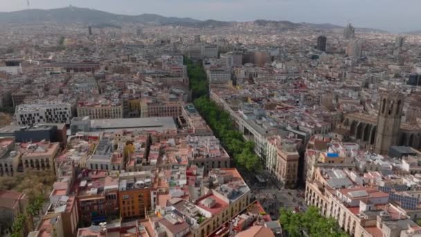 공중에서 대도시 자치구에서 활발하고 거리에 초목이 자라고 스페인 바르셀로나 — 비디오
