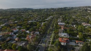 Uzun palmiye ağaçlarıyla kaplı caddenin havadan görünüşü. Beverly Hills 'te lüks konutlar. Los Angeles, Kaliforniya, ABD