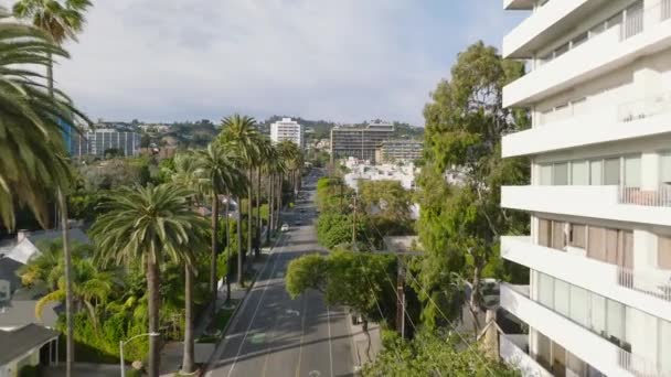 城市住宅区的城镇发展和大量绿地的高档带 沿街一排热带棕榈树 美国加利福尼亚州洛杉矶 — 图库视频影像