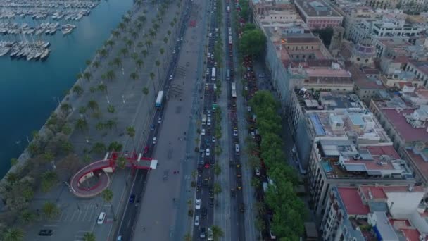 Passeig Colom Daki Trafik Sıkışıklığının Yüksek Açılı Görüntüsü Limanda Demirlemiş — Stok video