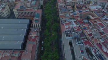 Şehir merkezinde yeşil ağaçlar olan geniş bulvarın kuşbakışı görüntüsü. Alacakaranlıkta yoğun şehir gelişiminin havadan görüntüsü. Barselona, İspanya.