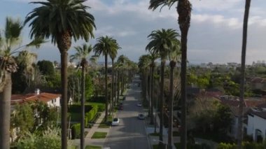 Tropikal bölgelerdeki yerleşim bölgesinin muhteşem manzarası. Beverly Hills 'te sıra sıra palmiye ağaçları. Los Angeles, Kaliforniya, ABD