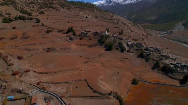 ヒルトップにあるスタパ寺院とフィールド上の馬との間の空中降下パノラマビューティアラ村の家屋 ネパール北部マナン地区 ヒマラヤ山岳トレッキング — ストック動画