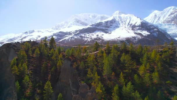 Luftaufnahme Tannenspitzen Mit Schneebedeckten Himalaya Gipfeln Hintergrund Sonnigem Tag Majestätische — Stockvideo