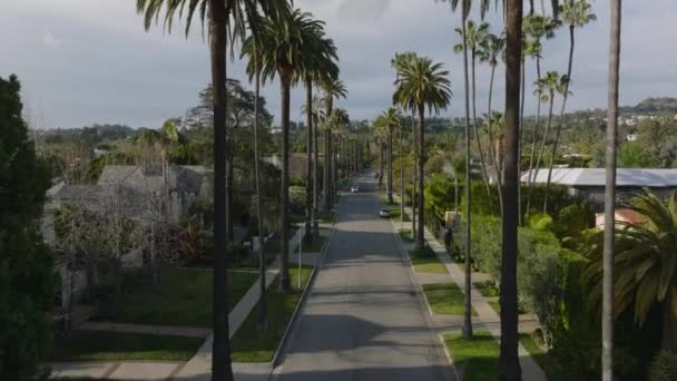 Lokal Gate Boligstrøk Omgitt Høye Tropiske Trær Gulltimen Los Angeles – stockvideo