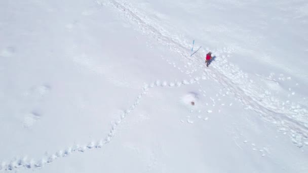 Aerial Menetapkan Tembakan Trekker Figure Trek Pria Solo Jalur Bersalju — Stok Video
