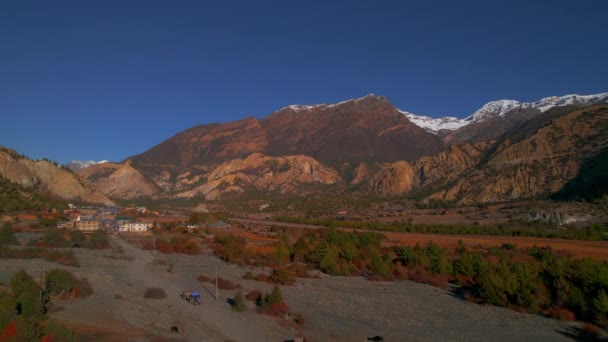 空中からの眺め ハムド村の道路上の農民馬車 ネパールの文化とライフスタイル アナプルトレッキング マンガ渓谷 マナン地区 ネパールヒマラヤス — ストック動画
