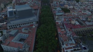 Şehir merkezindeki ağaçlarla dolu geniş bir bulvarın hava görüntüleri. La Rambla Caddesi ve Placa Reial, alacakaranlıkta. Barselona, İspanya.