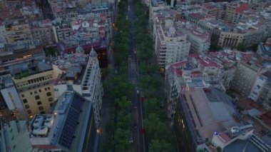 Geniş bulvarda giden araçların yüksek açılı görüntüsü sıra sıra yeşil yapraklı ağaçlarla kaplı. Şehir merkezindeki çok katlı binalar. Barselona, İspanya.