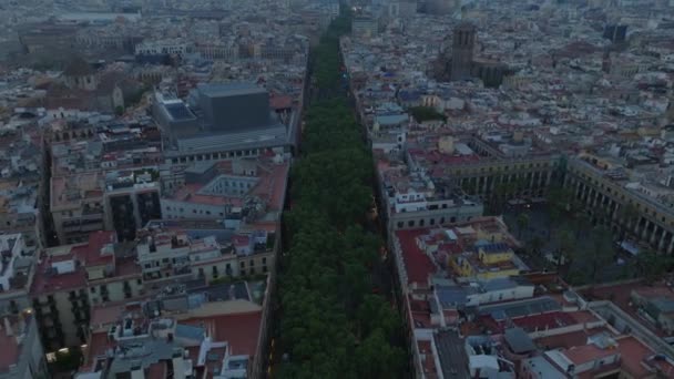 Високий Кут Зору Смуги Зелених Дерев Місті Нахил Відкриває Міський — стокове відео