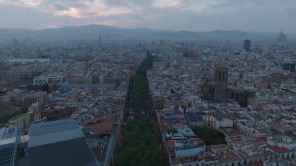 Metropolis Alacakaranlıktaki Hava Görüntüleri Geniş Caddenin Üzerinde Yeşil Ağaçlarla Uçun — Stok video