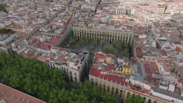 Aerial View Placa Reial Square Palm Trees Surrounded Historical Buildings — Stock Video