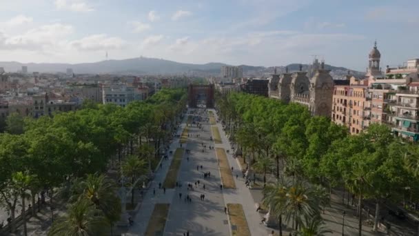前方の歩行者公園を歩いて上を飛ぶ 古い凱旋門につながるヤシの木が並ぶ遊歩道 スペインのバルセロナ — ストック動画