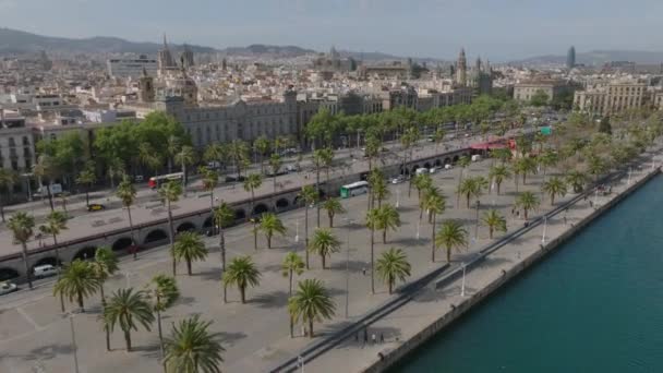 Repüljön Vízpart Felett Kövezett Sétányon Pálmafákkal Forgalmas Utakkal Metropoliszban Barcelona — Stock videók