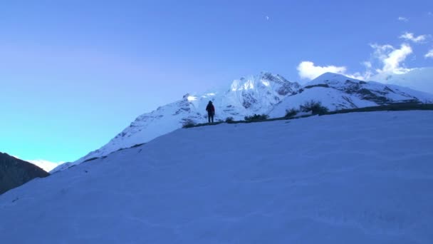 山頂の空中暴露ビューハイカーは 目的地の頂上までの景色を楽しむことができます 冬の高山ヒマラヤのアウトドアアドベンチャースポーツ アナプルナサーキットトレッキング ティリコ収容所 — ストック動画