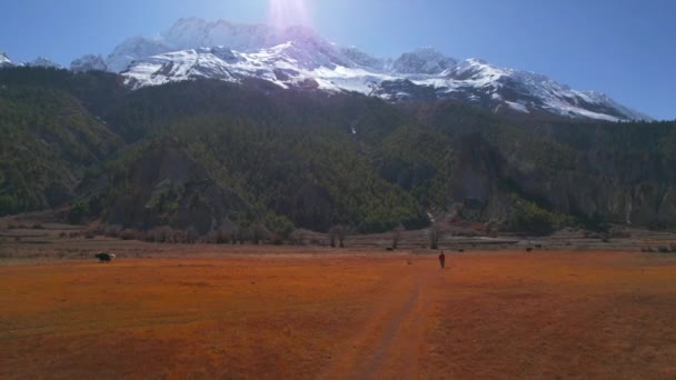 神奇的山景 在喜马拉雅山的高山之间 旅行者在山谷中漫步的圆形镜头 尼泊尔Annapurna环路 Manang Valley — 图库视频影像