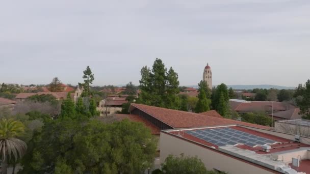 Budynki Drzewa Mieście Powstające Ujawnienie Historycznego Kampusu Uniwersytetu Stanforda Stanford — Wideo stockowe