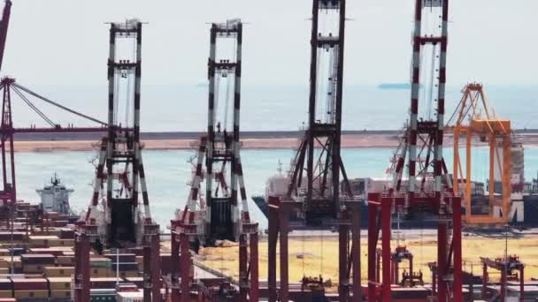 Вид Воздуха Технические Транспортные Средства Порту Высокие Красные Белые Контейнерные — стоковое видео