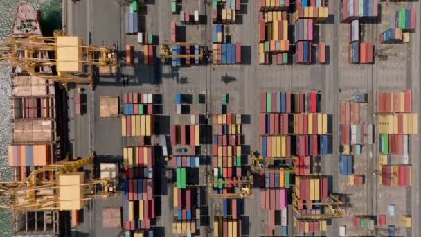 Bovenaanzicht Van Voorraden Overzeese Containers Internationale Terminal Enorme Kranen Laden — Stockvideo