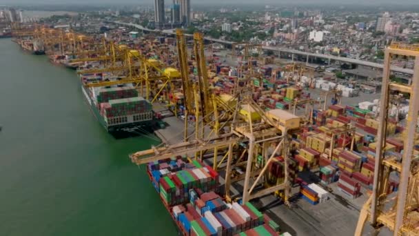 Enorme Kranen Laden Grote Vrachtschepen Vlieg Containerterminal Zeehaven Rijen Gestapelde — Stockvideo