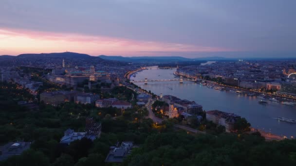 フォワードは夜市の広い川の近くの公園の上を飛ぶ 都市部の街灯と夕暮れ時に有名な観光スポットを照らしました ブダペスト ハンガリー — ストック動画