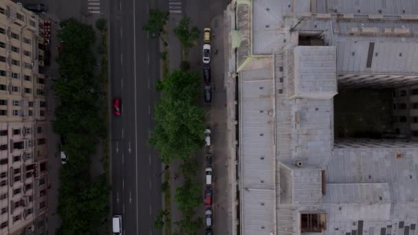 Geniş Sokağın Tepeden Tırnağa Ağaçlarla Çevrili Görüntüsü Şehir Merkezindeki Yol — Stok video