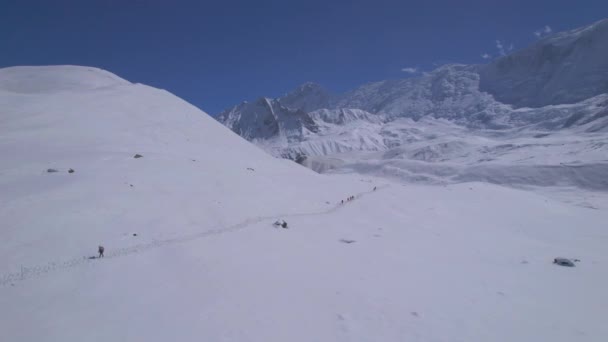 雪山を背景にヒマラヤ山脈の雪のトレッキングトレイル上のハイカーの空中上昇ビューグループ アナプルナ サーキット トレッキング マナンだ ネパールだ アジア — ストック動画
