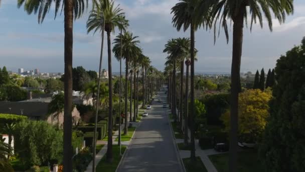 前方的道路两边环绕着棕榈树和奢华的住宅区 著名的贝弗利山在黄金时段 美国加利福尼亚州洛杉矶 — 图库视频影像