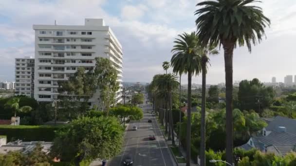 前面飞过街道 两边都是高大的棕榈树 比佛利山的多层公寓楼和豪华住宅 美国加利福尼亚州洛杉矶 — 图库视频影像