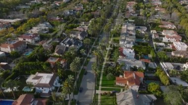 Yüksek açılı cadde manzarası yüksek palmiye ağaçları ile kaplı. Lüks kentsel yerleşim yerlerinde ikamet ediyorlar. Los Angeles, Kaliforniya, ABD