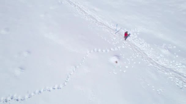 Aerial Etablerar Skott Solo Manliga Trekker Figur Vandring Snöiga Stigen — Stockvideo