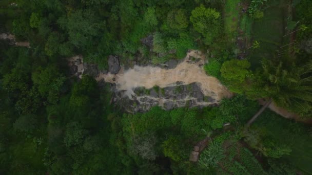 Vysoký Výhled Vodopády Dešti Zachovaná Tropická Příroda Bujnou Zelenou Vegetací — Stock video