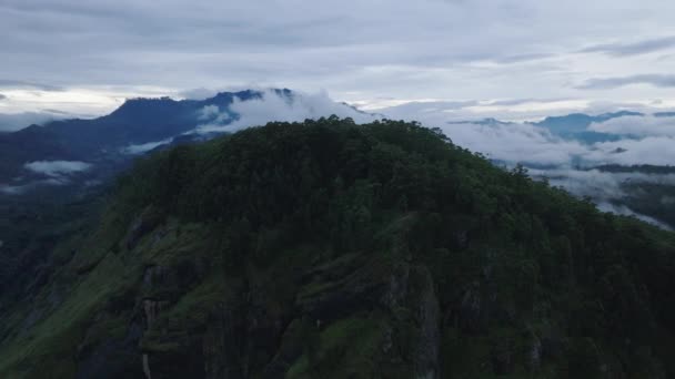 空中滑行和森林覆盖的小山的平底锅射击 晨光丘陵 雾蒙蒙森林 Ella 斯里兰卡 — 图库视频影像