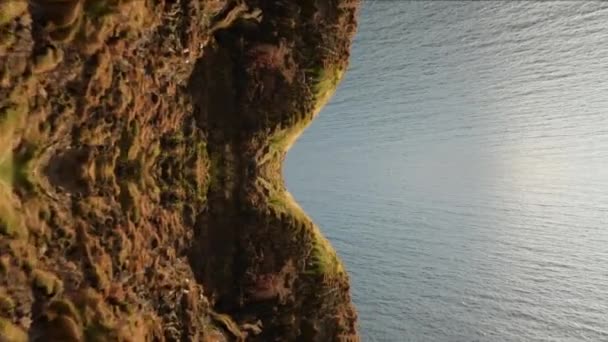 Vorwärts Fliegen Entlang Der Meeresküste Hohe Felsige Klippen Über Der — Stockvideo