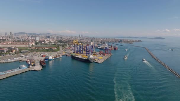 Αεροφωτογραφία Της Ακτής Της Θάλασσας Φορτηγό Λιμάνι Μεγάλους Γερανούς Χρώμα — Αρχείο Βίντεο