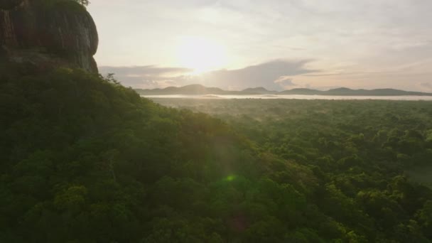 Piękny Widok Lotu Ptaka Tropikalnego Lasu Przed Wschodem Słońca Odsłaniając — Wideo stockowe
