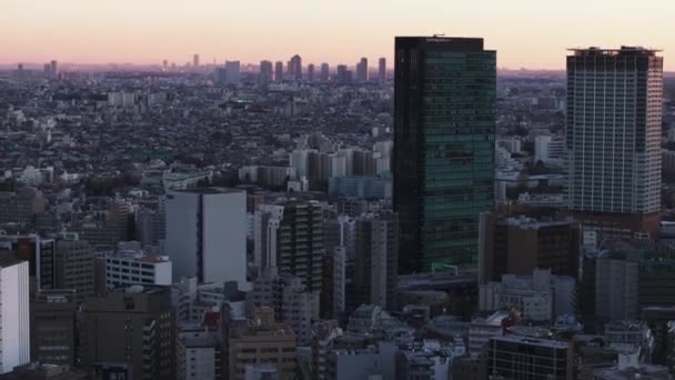 夕暮れのシティスケープ 高層オフィスまたは住宅タワーを持つ大都市の航空映像 トワイライトスカイ 東京都 — ストック動画