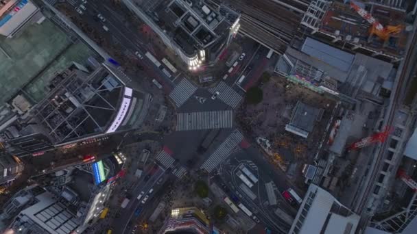 Shora Dolů Klesající Záběry Vozidel Projíždějících Shibuya Scramble Crossing Oblíbené — Stock video
