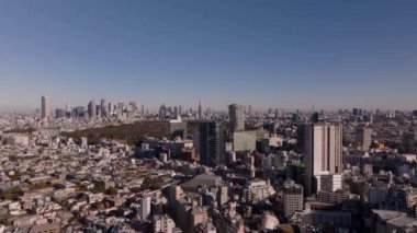 Büyük şehrin hava panoramik manzarası, yerleşim bölgesi, büyük bir halk parkı ve arka planda şehir merkezindeki gökdelenler. Tokyo, Japonya.
