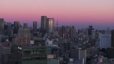 Metropolis 'teki yoğun şehir gelişiminin hava görüntüleri. Alacakaranlık gökyüzüne karşı yüksek binalar. Tokyo, Japonya.