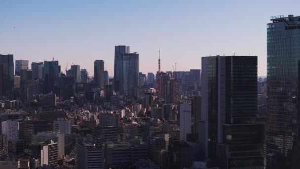 Підвищені Кадри Щільного Сучасного Розвитку Міста Міському Районі Токійська Вежа — стокове відео