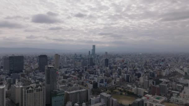Возвышающийся Вид Город Современными Высотными Зданиями Облачное Небо Над Большим — стоковое видео