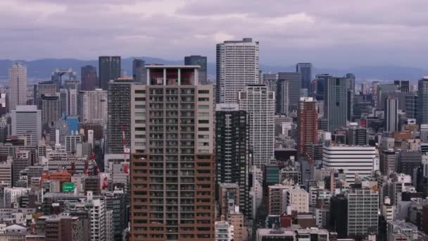 Şehirdeki Yüksek Binalar Metropolis Teki Konut Kulelerinin Yüksek Görüntüsü Osaka — Stok video
