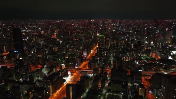 夜の大都市の空中パノラマビュー メトロポリスの街並みや建物に照らされた — ストック動画