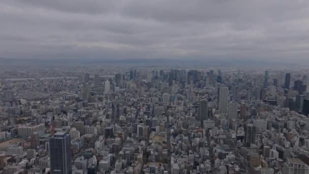 Beautiful Aerial Panoramic View Modern Metropolis Large City High Rise — Stock Video