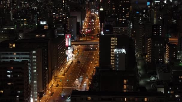 도시에 거리의 건물과 풍경을 드러냅니다 오사카 — 비디오