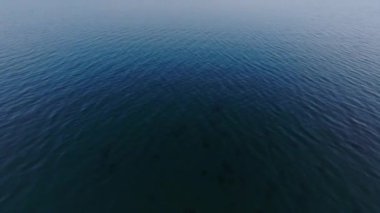 İleri doğru hafif dalgalı su yüzeyinin üzerinde uçar. Sabahleyin Geneva Gölü 'nün geniş su alanını ortaya çıkar. Cenevre, İsviçre.