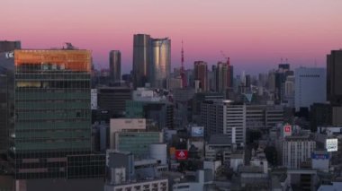 Şehir merkezindeki yüksek binaların havadan yükselen görüntüsü. Arka planda Metropolis ve pembe alacakaranlık gökyüzü. Tokyo, Japonya.